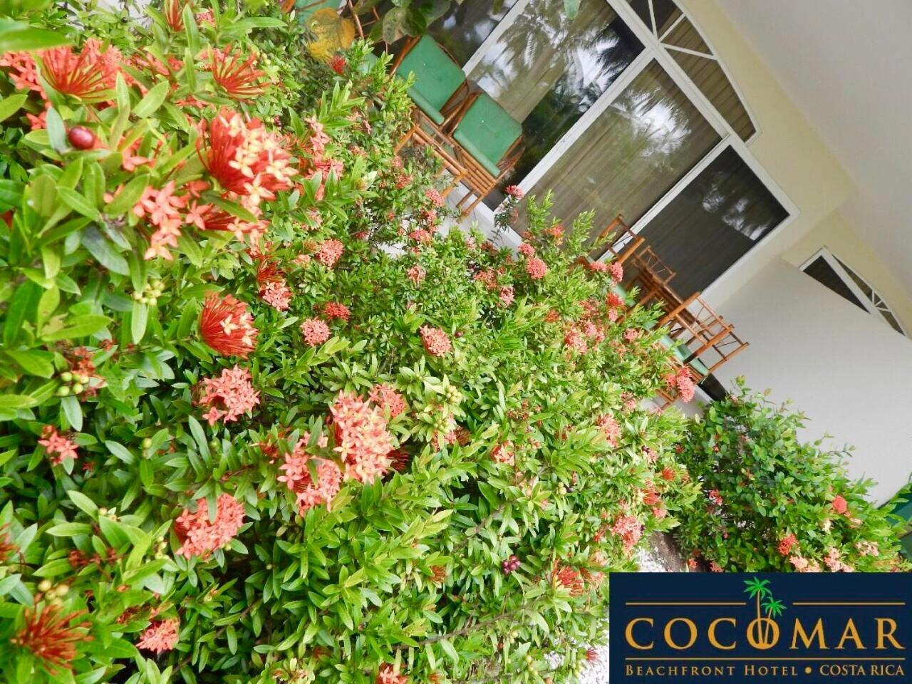 Cocomar Beachfront Hotel Parrita Exterior foto